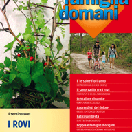 I rovi